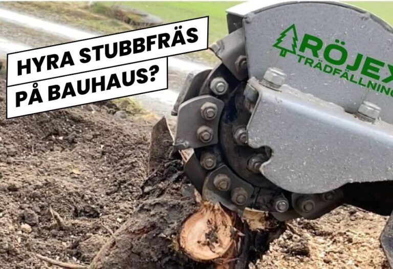 Hyra stubbfräs