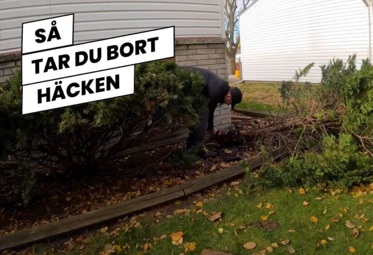 Ta bort häck